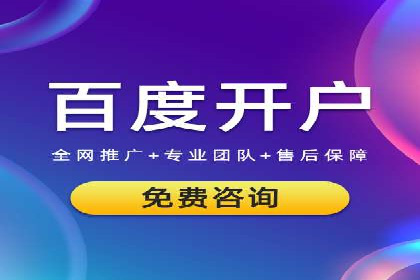 解析SEM推广代运营公司的成功案例及效果